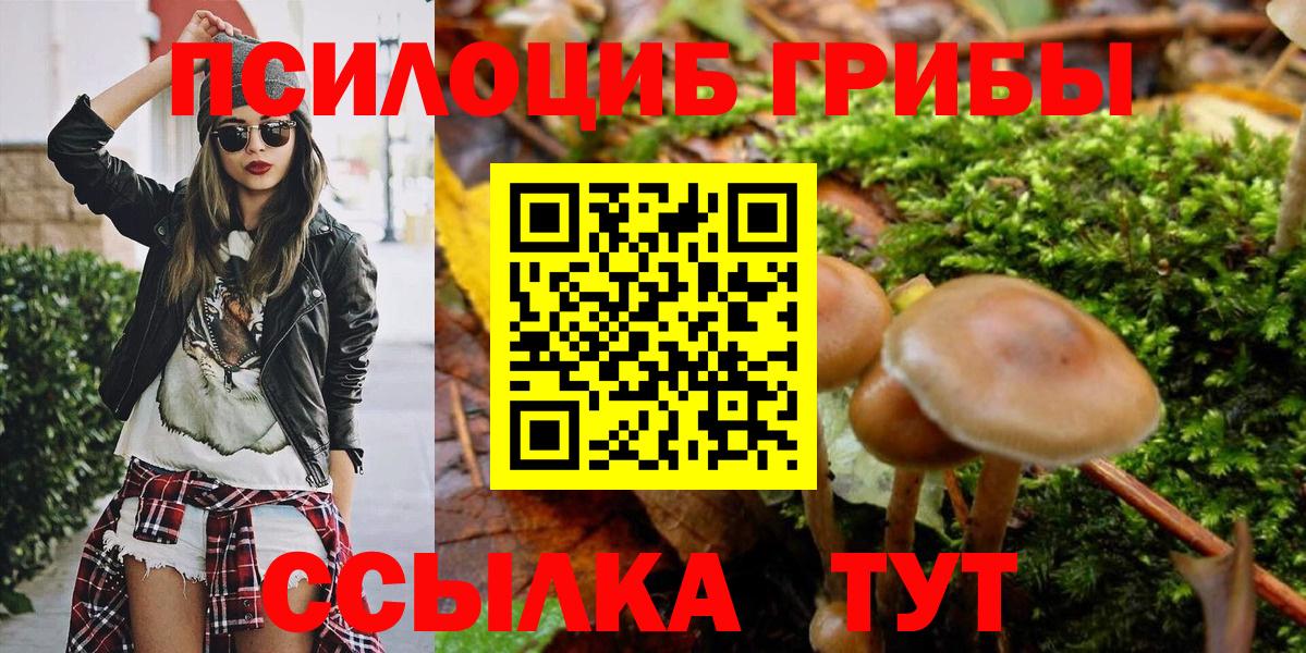 Псилоцибиновые грибы MAGIC MUSHROOMS Отрадный