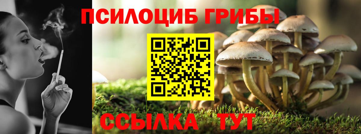 Отрадный  Псилоцибиновые грибы мухоморы  где купить   Вход с VPN  Псилоцибиновые грибы Cubensis 